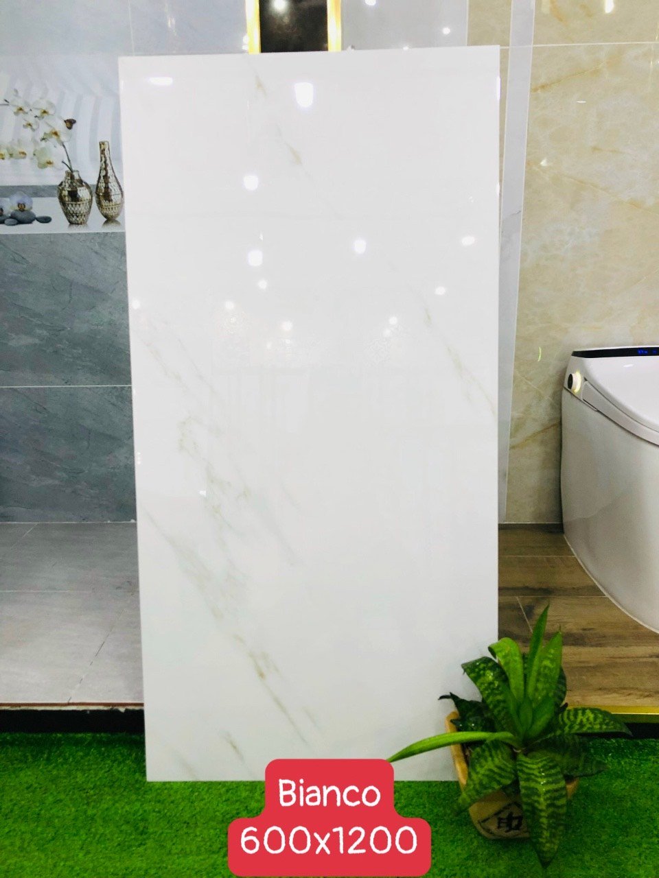 Gạch nhập khẩu Ấn Độ 60x120